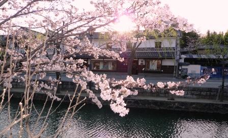 2011-4-岡山倉敷 046.jpg